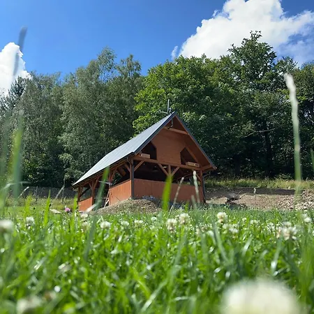 Lesna Ostoja Holiday home *