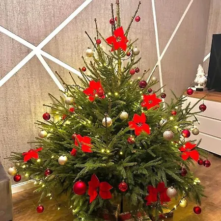 Prázdninový dům Lesna Ostoja *