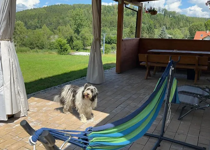 Lesna Ostoja * Lubawka